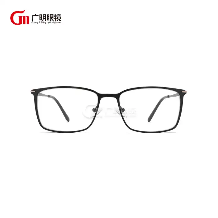 sleek frame glasses